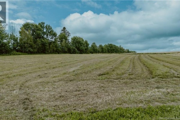 View across a mown field with cut grass, under a cloudy sky and treeline. - Lot Route 550, Hartford