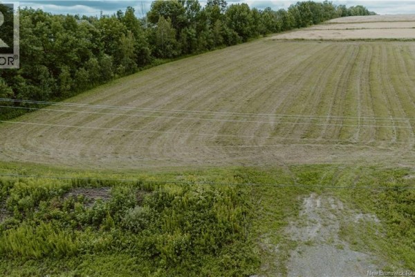 Sloping mown field with visible power lines crossing, bordering a road and forest. - Lot Route 550, Hartford