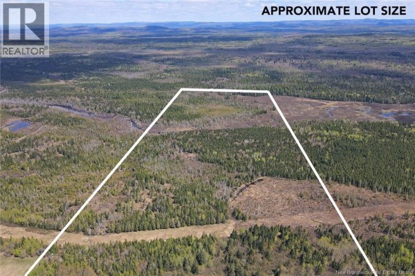 Lot Route 585, Clarkville, NB E6E1P5 Photo 2