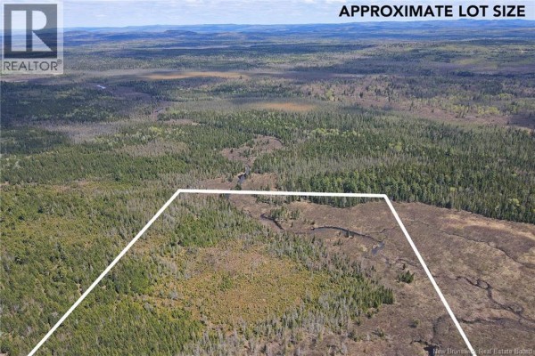 Lot Route 585, Clarkville, NB E6E1P5 Photo 5