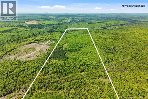 Lot Route 620, Tay Creek, NB O0O0O0 Photo 3