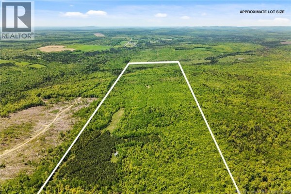 Lot Route 620, Tay Creek, NB O0O0O0 Photo 4