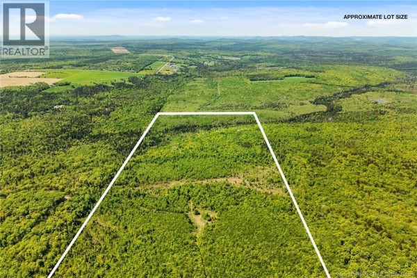 Lot Route 620, Tay Creek, NB O0O0O0 Photo 5