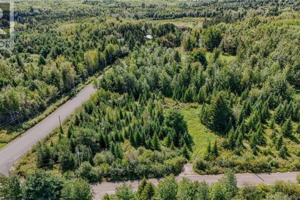 Lot Route 895, Colpitts Settlement, NB E4J1C1 Photo 2