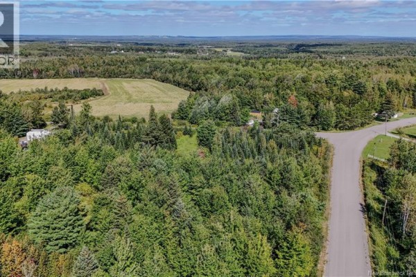 Lot Route 895, Colpitts Settlement, NB E4J1C1 Photo 4