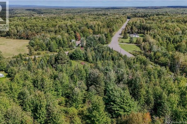 Lot Route 895, Colpitts Settlement, NB E4J1C1 Photo 5