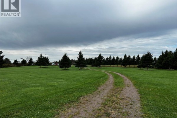 Dirt path leading through a grassy field with scattered evergreen trees under a cloudy sky. - Lot Route 955, Murray Corner