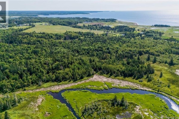 Lot Route 970, Baie Verte, NB E4M1N3 Photo 5