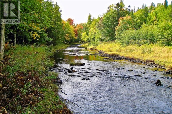Lot Rte 520 Coates Mills, Coates Mills, NB E4S1R7 Photo 2