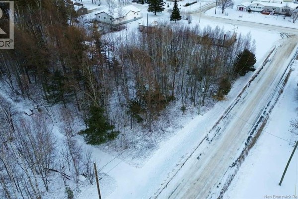 Lot Rue Jeanne, Rogersville, NB E4Y1T7 Photo 5