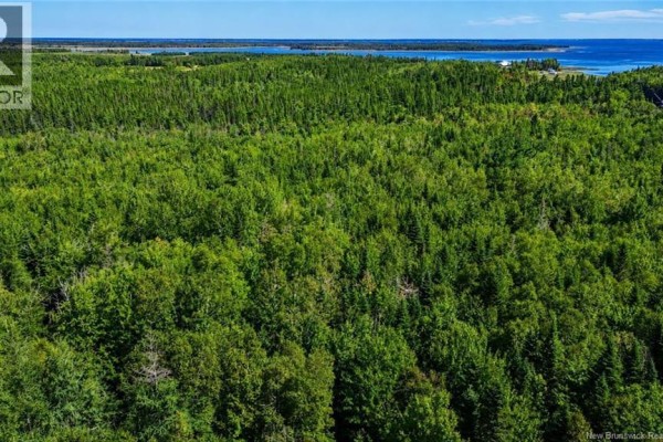 Lot Rue Morais, Bas Caraquet, NB E1W6A6 Photo 2