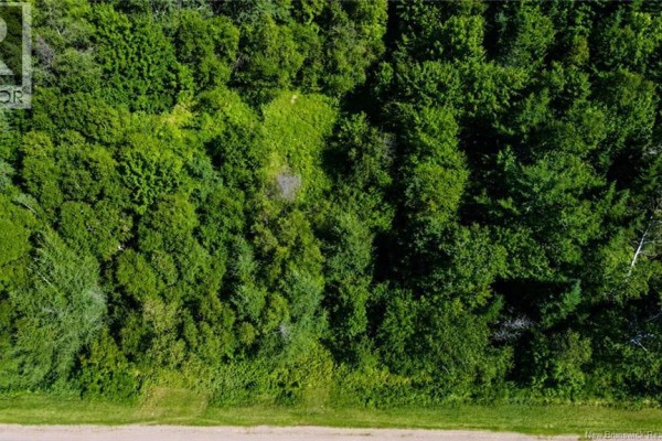 Lot Rue Morais, Bas Caraquet, NB E1W6A6 Photo 3