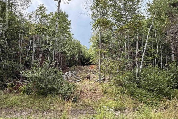 Lot S-2 Miner Meadow Road, Sunken Lake, NS, photo 3