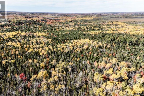 Lot Saint Charles N, Saint Charles, NB E4W4X8 Photo 2