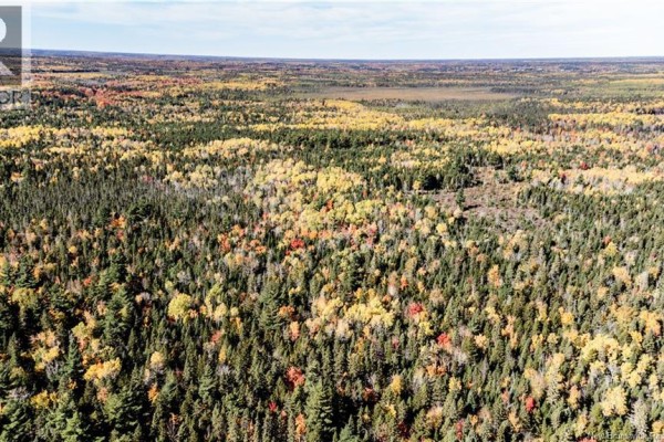 Lot Saint Charles N, Saint Charles, NB E4W4X8 Photo 3