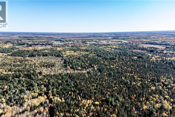 Lot Saint Charles N, Saint Charles, NB E4W4X8 Photo 5