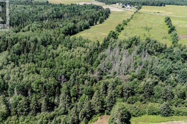 Lot Saint Charles Sud, Saint Charles, NB E4W4W2 Photo 3
