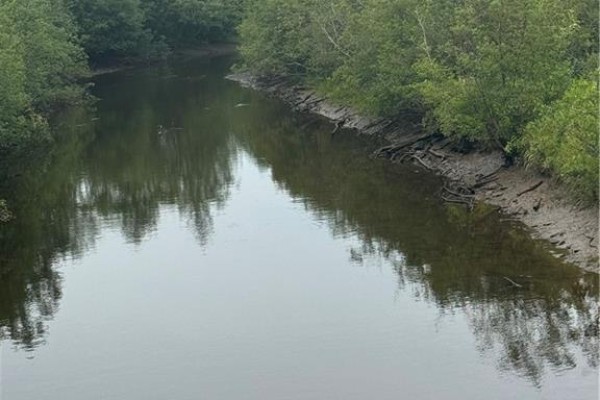Lot Saint Charles Sud, Saint Charles, NB E4W4W2 Photo 5