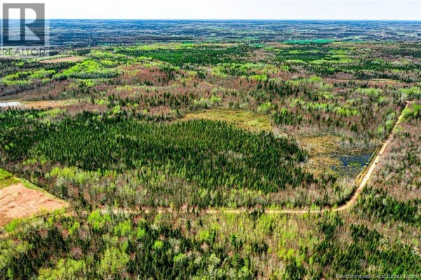 Lot Saint Damien, Saint Damien, NB, photo 2