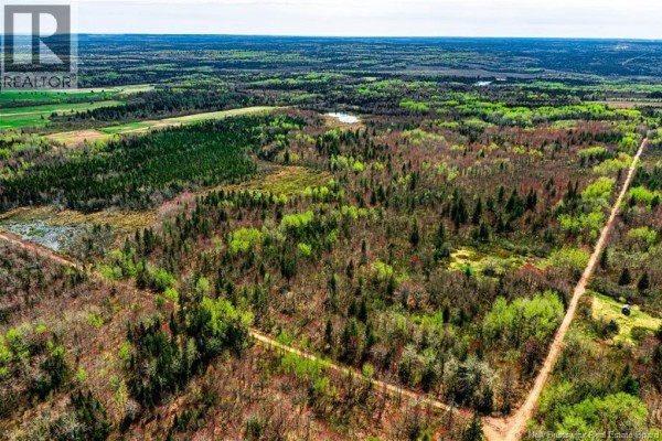 Lot Saint Damien, Saint Damien, NB, photo 3