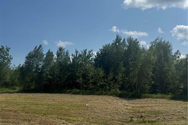 Lot Saint-charles Sud, Saint Charles, NB E4W4W8 Photo 5