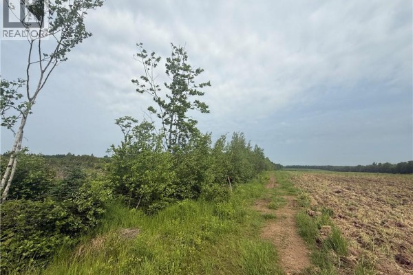 Lot Saint-damien Road, Sainte Marie De Kent, NB E4V3E5 Photo 4