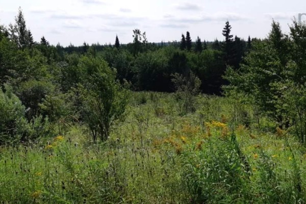 Lot Salem Road, Enon, NS B1J1W1 Photo 4