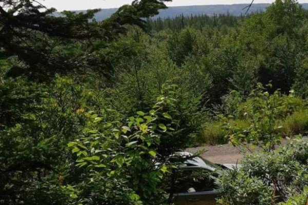 Lot Salem Road, Enon, NS B1J1W1 Photo 5