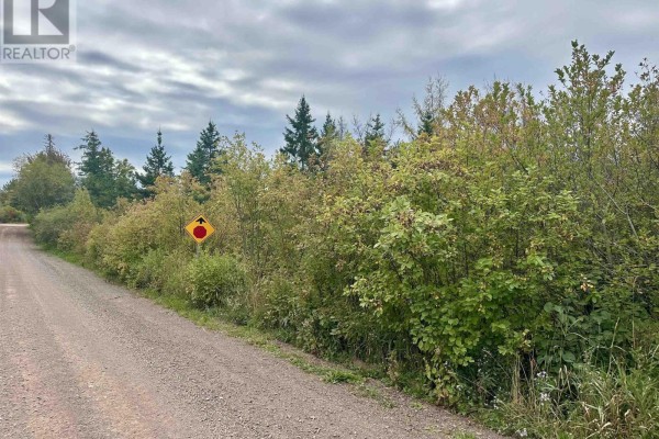 Lot Scotsburn Road, Plainfield, NS B0K1H0 Photo 3