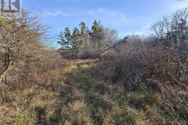 Lot Shore Road W, Delaps Cove, NS B0P1E0 Photo 3