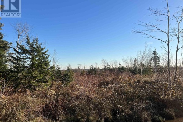 Lot Small Gains Road, Yarmouth, NS, photo 3