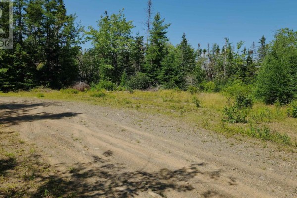 Lot Spar Lake, Port Dufferin, NS B0J2R0 Photo 3