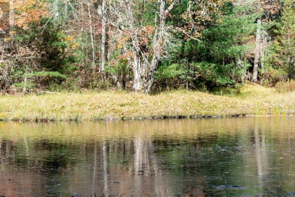 Lot Ss-2 Maple Drive, Lower Ohio, NS B0T1W0 Photo 2