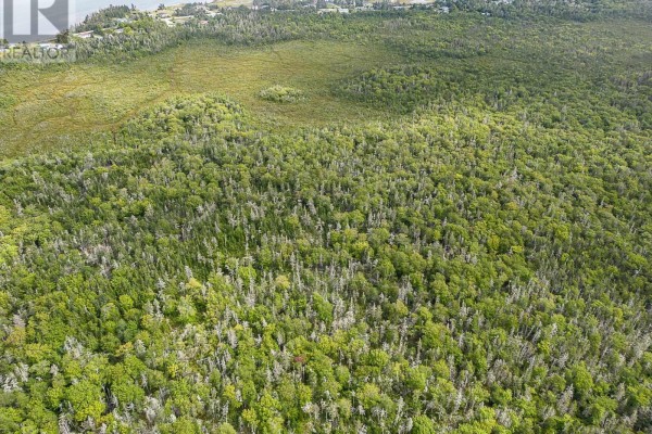 Lot Stoney Island Road, Clam Point, NS B0W3J0 Photo 4