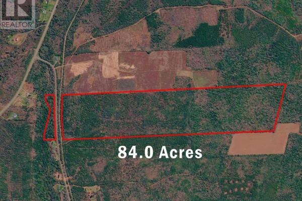 Satellite image shows 84.0 acres of wooded land with clearings and fields, outlined in red. - Lot Straghbohgie Road, Cardigan Head
