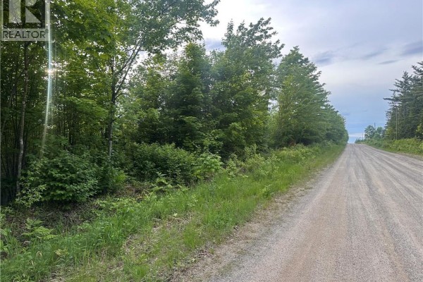 Gravel road curves into the distance, lined by mature trees and green vegetation. - Lot Tay Falls Road, Woodlands