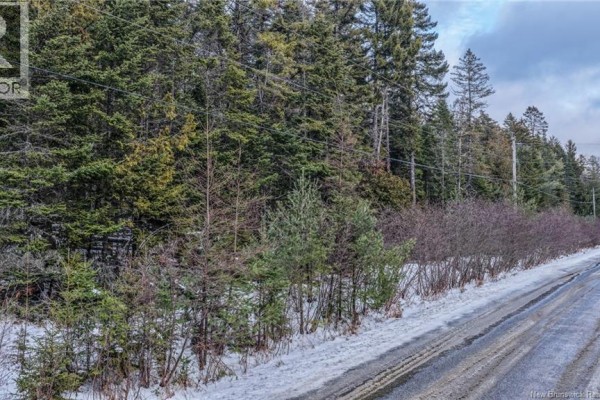 Lot Todds Point Road, Dufferin, NB E3L3R5 Photo 4