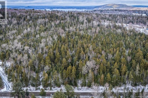 Lot Todds Point Road, Dufferin, NB E3L3R5 Photo 5