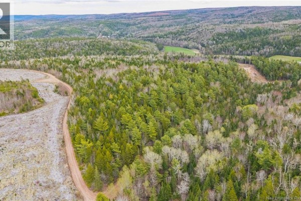 Lot Upper Goshen Road, Goshen, NB E4Z0C4 Photo 4