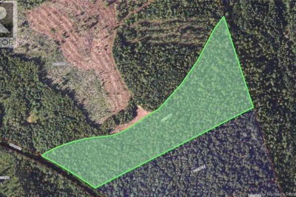 Lot Upper Goshen Road, Goshen, NB E4Z0C4 Photo 5