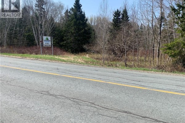 Lot Vacant Route 134, New Mills, NB E8G1E4 Photo 3