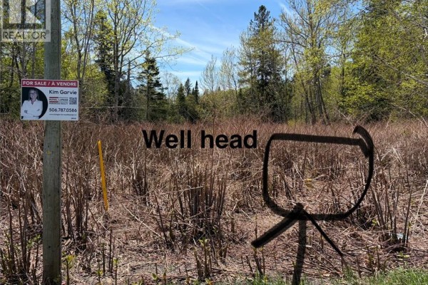 Lot Vacant Route 134, New Mills, NB E8G1E4 Photo 4
