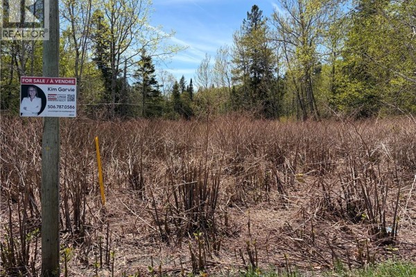 Lot Vacant Route 134, New Mills, NB E8G1E4 Photo 5