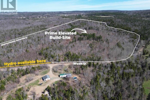 Lot Ween Street, Mount Hanley, NS B0S1P0 Photo 2