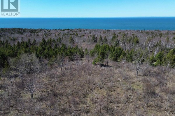 Lot Ween Street, Mount Hanley, NS B0S1P0 Photo 4