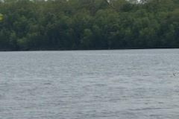 Lot Wegesegum Road, Chipman, NB O0O0O0 Photo 4