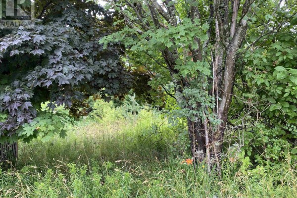 Lot Wellington Street, Pictou, NS B0K1H0 Photo 5