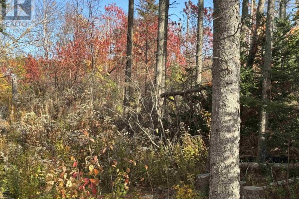 Lot Willow Lane, Priest Pond, PE C0A2B0 Photo 2