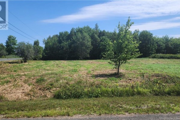 Lot15-1.1acres Rue Jeaneau, Losier Settlement, NB E1X0C4 Photo 3