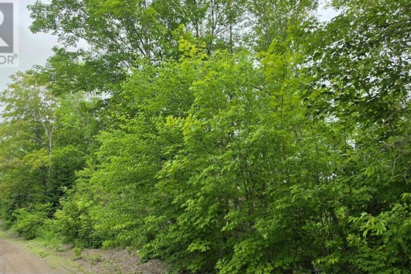 Lot2-1 Ohio East Side Road, Upper Ohio, NS B2G2K8 Photo 4